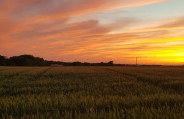 Haus am Zabelstein - Foto 25