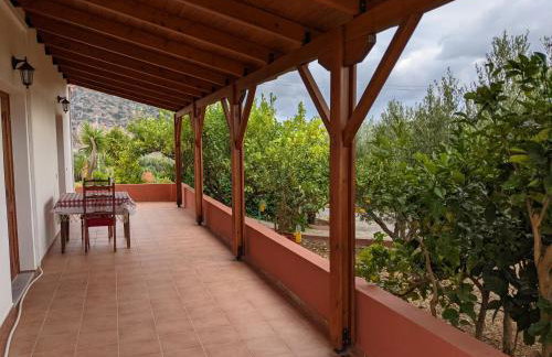 House of Polymnia - Photo 46