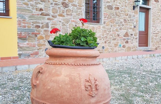 Agriturismo Podere Casalone - Foto 41