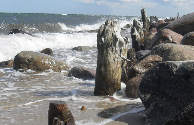 Sunny Holiday Apartment at the Forest Büdnerreihe - Foto 17