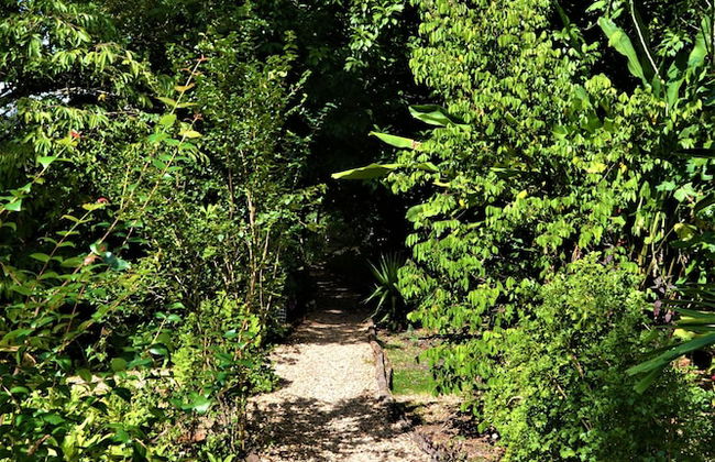 Licensed 2 Bedroom Cabin Close to San Ignacio, Local Dining, and Adventure Tours - Foto 12