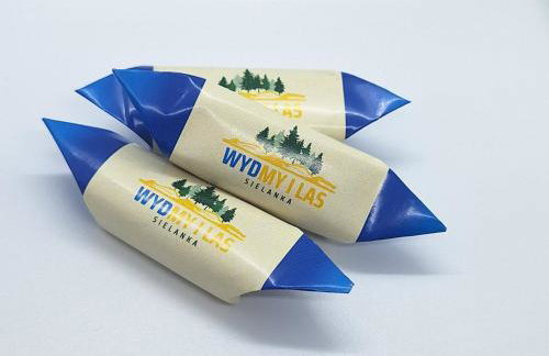 Sielanka Wydmy i Las - Foto 18