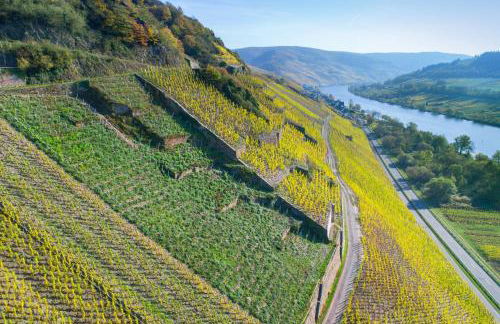 Haus in Spay an der Mosel mit Sauna - Foto 35