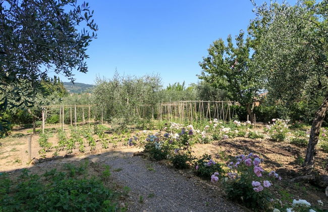 Rocca di Cetona - a Medieval Castle - Foto 72