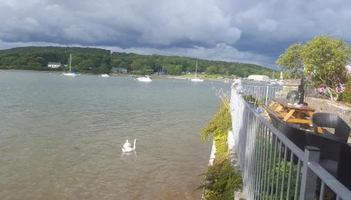 Beach Cottage, with stunning views - Foto 4