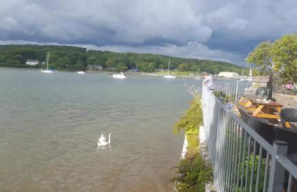 Beach Cottage, with stunning views - Foto 4