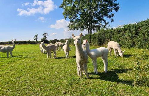 The Alpaca Farmhouse with hot tub and alpaca experience included - Foto 8
