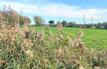 L'oca Nera - Foto 68