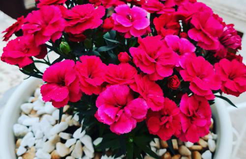 La Dimora nel Borgo - Foto 21