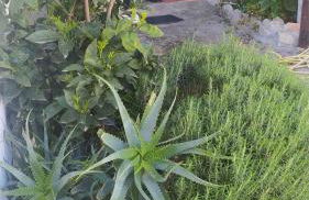 ANTICA BAITA - Foto 46