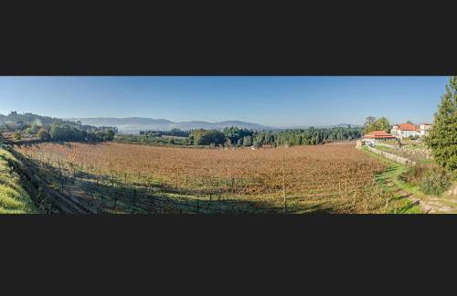 Solar de Serrade - Foto 47