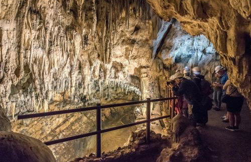 Apartman Djak - Foto 14