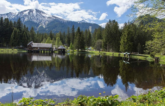 Chalet in Hohentauern Near Ski Slopes - Foto 31