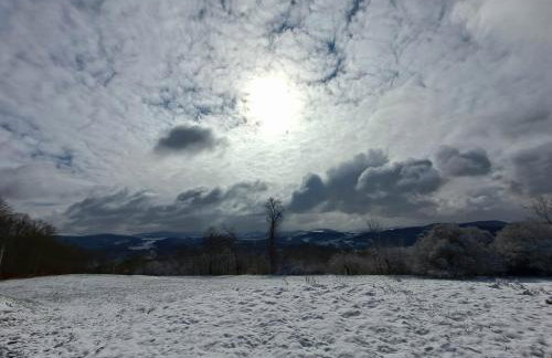 Dom pod Agatową Skałą we Wleniu - Foto 25