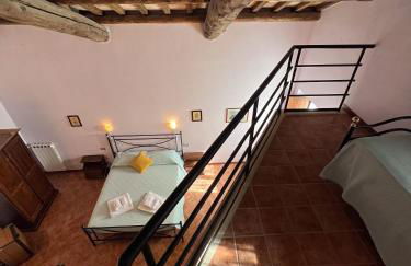 Marco & Andrea Agriturismo Collepina - Foto 51