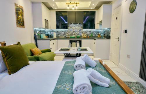 Luxury Studio in Wembley - Foto 45