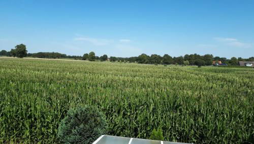 NEU! Ferienwohnung Luna zwischen den Meeren - Foto 4
