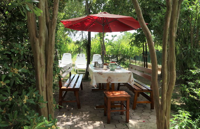 Villa Palma - Foto 3