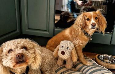 Bowling Green cottage - Photo 7