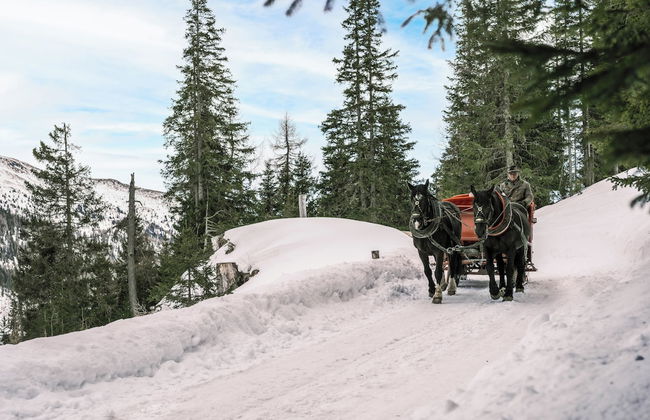 Falkensteiner Residences Edelweiss - Photo 33