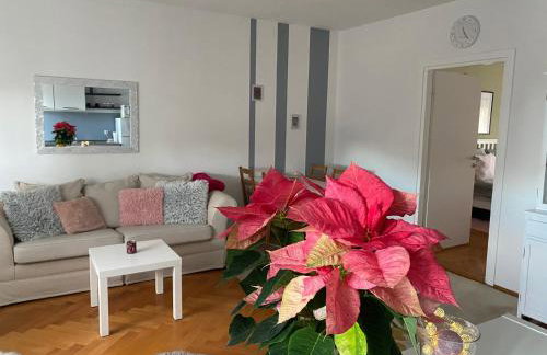 Apartment in the city center - Foto 12