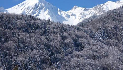 Ferienwohnung Andrea - Photo 2