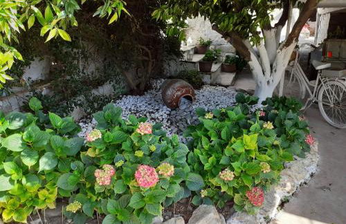 Flower house - Foto 30