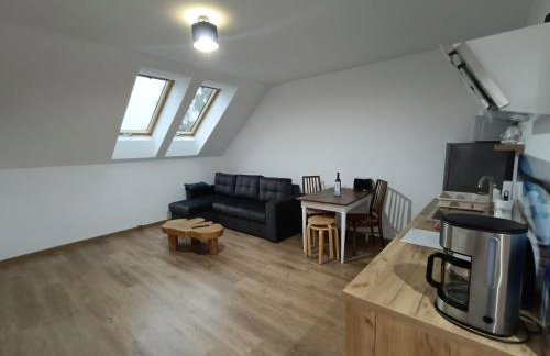 Apartamenty Lubkowo - Foto 35