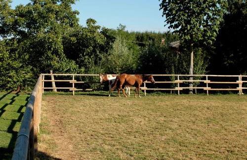 Residence Regina dei Prati - Foto 16