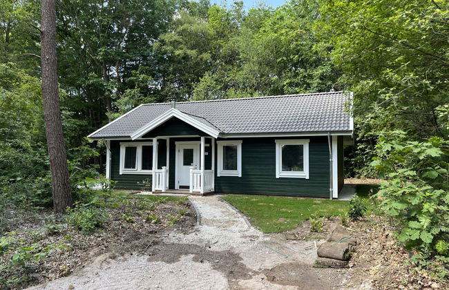 3 bedroom House in Dwingeloo with swimming pool and terrace - Photo 1