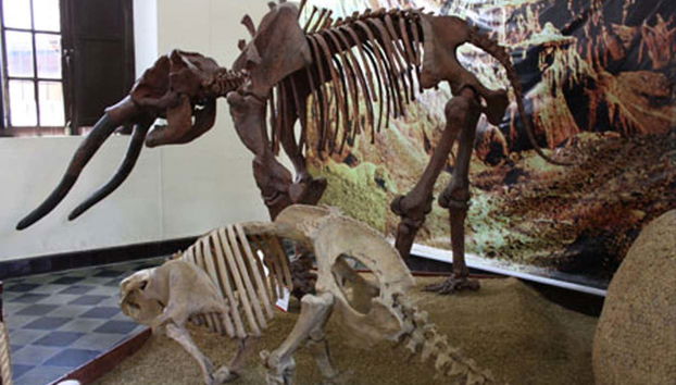 Tour por Tarija - Foto 4