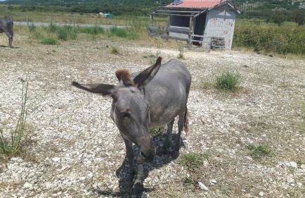 Apartment D & N - Foto 52