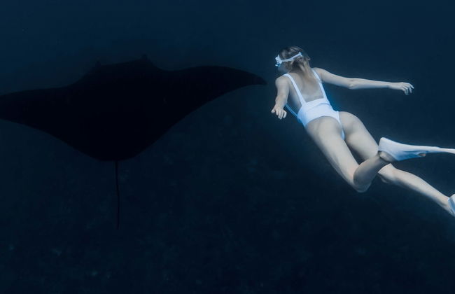 Night Swim with Manta Rays - Foto 1