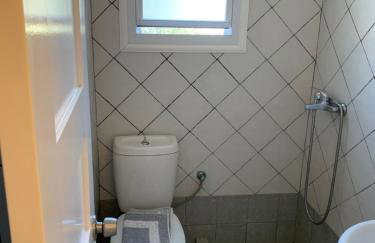 Despina Studios Raxes Ikaria # 1 - Foto 3