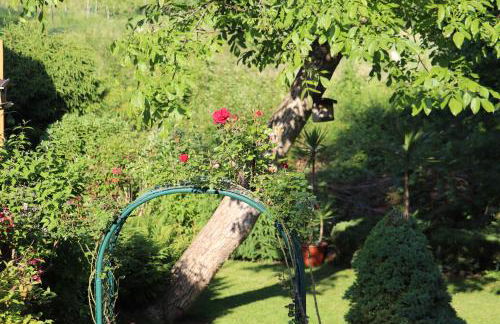 Wohnung #6 mit Balkon in ruhiger aber zentrale Lage - Stadtbus vor der Tür! - Foto 25