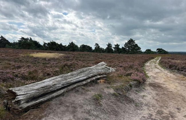 Holiday Home in Haarle Near Sallandse Heuvelrug - Foto 22