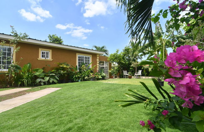 Centrally Located Guest Apartments III - Photo 19