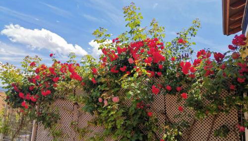 Estancia con jardín entre golf y monte - cerca Logroño - Foto 3, Garden