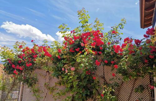 Estancia con jardín entre golf y monte - cerca Logroño - Foto 3
