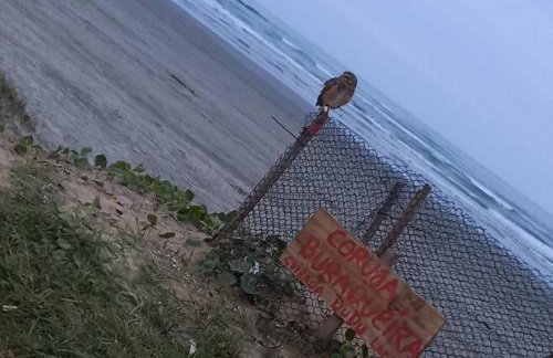 Edicula beira praia Gaivota - Foto 27