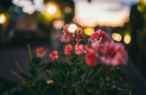 Apartamenty Pod Dębami Stadnina Koni SPA Jezioro i Morze Sarbsk - Photo 33