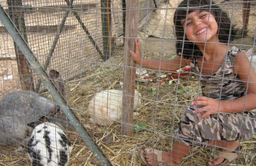 Agriturismo Al Poggetto - Foto 104