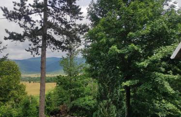 Kuća za odmor Iva - Foto 20