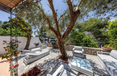 Oliveto Capri apartments - Foto 96