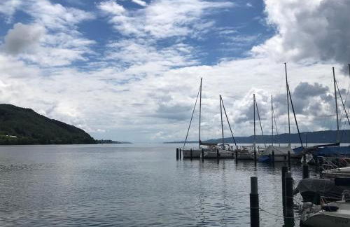 Über den Dächern von Bodman - Foto 24