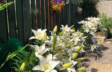 Private apartment in Wrose, Shipley, Bradford - Foto 30