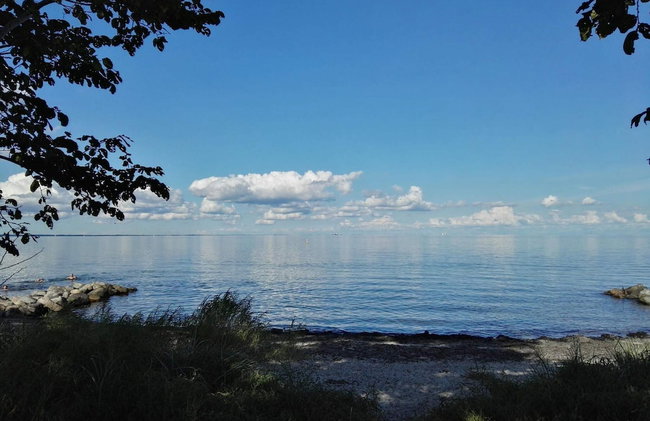 Cozy Retreat by Koge Bay - By Traum Ferienwohnungen - Foto 5