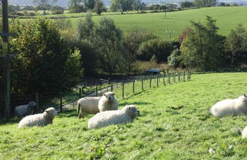 Bryn Y Garreg Cottage - The Wireless Tech Free Farm - Photo 39