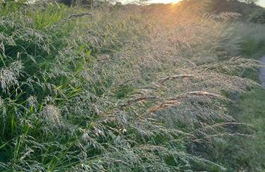 Unbox at Poplar Tree - Photo 45