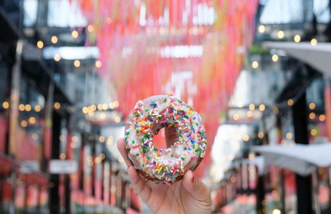 Washington DC Historic Donut Tour - Foto 6